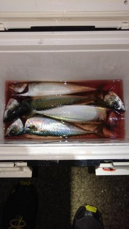 久しぶりのサバゲー