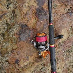 チニング&キス釣り