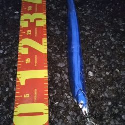 雨上がりに虹が♪……雨の日曜日も釣り座は満員御礼