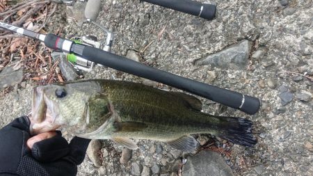 増水続きの五三川