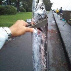 陸っぱりで超特大級ドラゴンをゲット！