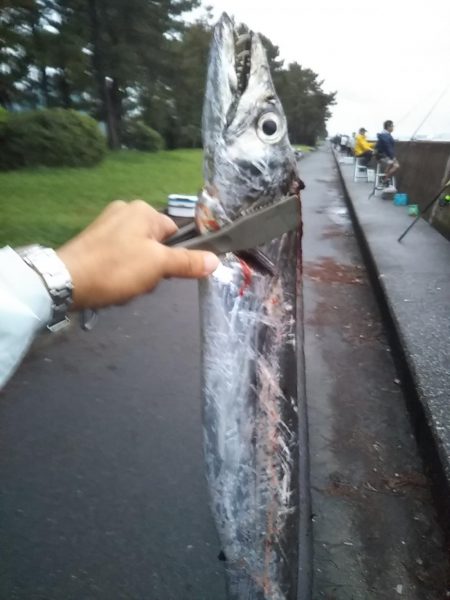 陸っぱりで超特大級ドラゴンをゲット！