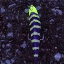 かなり渋めも……指3本を確保