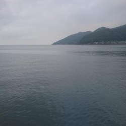 ｷｽ釣りからのﾂﾊﾞｽ