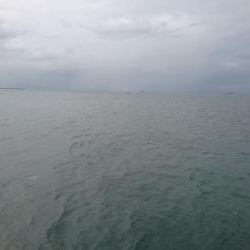 モジャッコ釣り