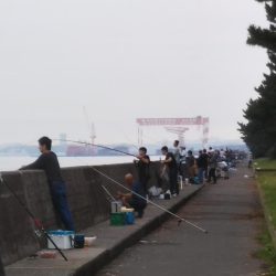 釣り座の確保が難しい……朝マヅメ