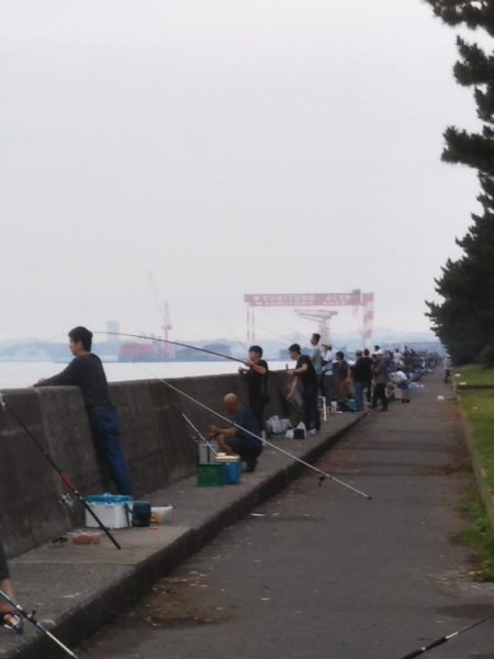 釣り座の確保が難しい……朝マヅメ