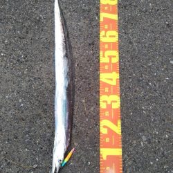 本日は時合い無し？？