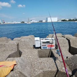 東二見西水道のキス情報