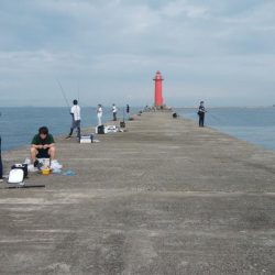 播磨新島のキス情報