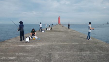 播磨新島のキス情報
