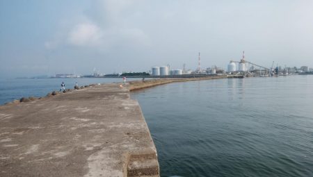 高砂港のキス情報