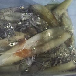 初の大検ゲット