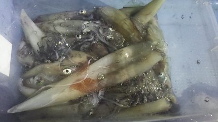 初の大検ゲット