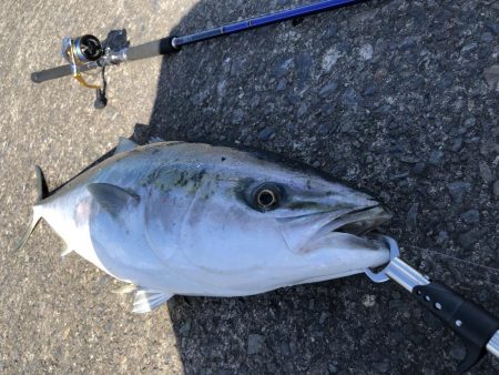 ショアジギング