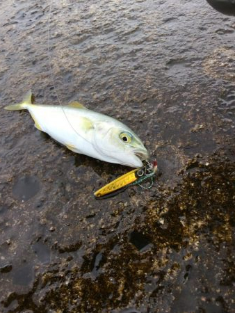 夏のスーパーライトショアジギングSLS