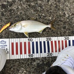 台風の影響あるなー