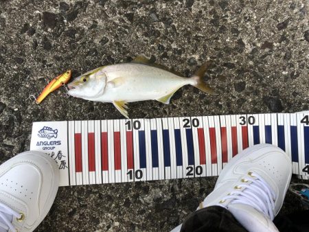 台風の影響あるなー