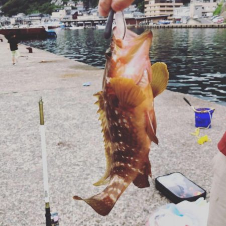 アジサビキのつもりが…