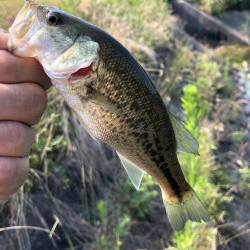 久しぶりのバス釣り