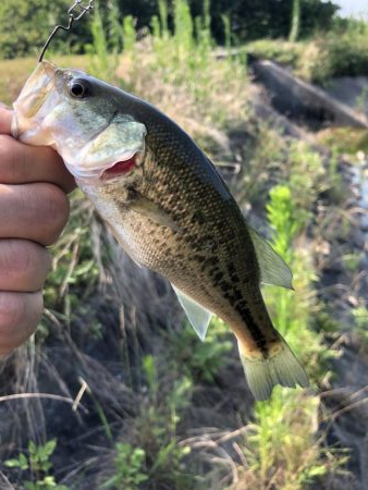 久しぶりのバス釣り