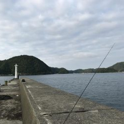 久しぶりのカワハギ