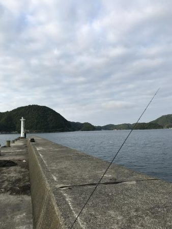 久しぶりのカワハギ