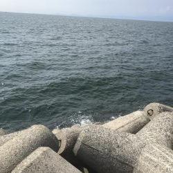 午後からショアジギング