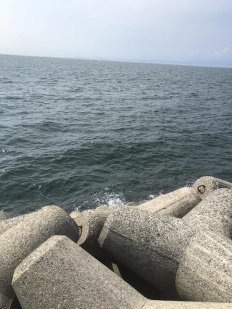 午後からショアジギング