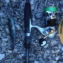 谷八木海岸・マヅメのガシリング