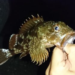 谷八木・メバリング