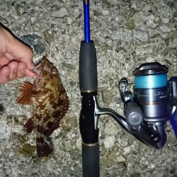 林崎漁港・メバルはお休み？