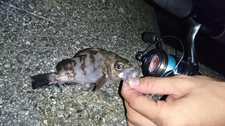 ショアジギで大物が…!?