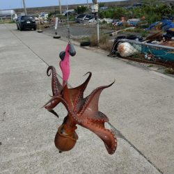 オクトパッシング