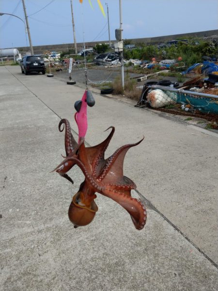 オクトパッシング