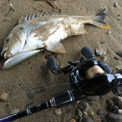 ２０１９ キビレ調査NO、６