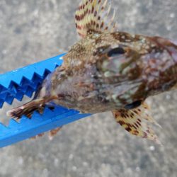 湯浅醤油を買いに行った序でに