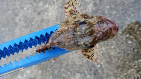 湯浅醤油を買いに行った序でに