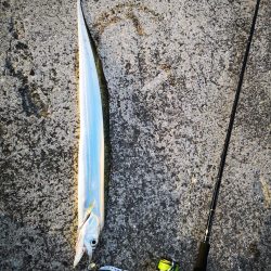 強風でも釣れた