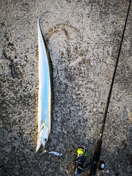 強風でも釣れた