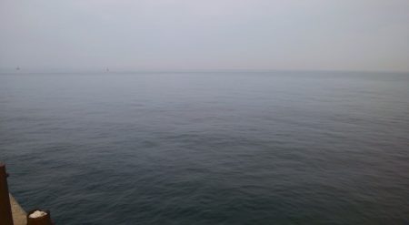 のませツバスは好調