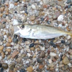 初めての場所でやっとサイズアップ