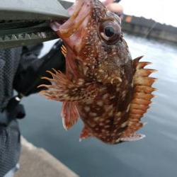 山代温泉旅行の帰りに