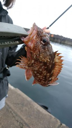山代温泉旅行の帰りに