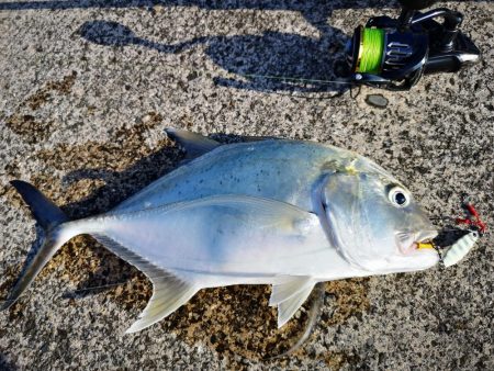 休みだから夕方にもお出掛け