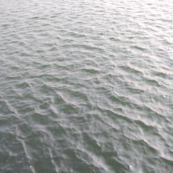 久々にメタルジグでの釣果