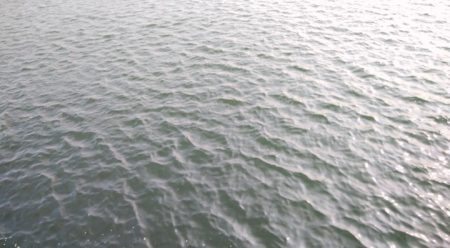 久々にメタルジグでの釣果