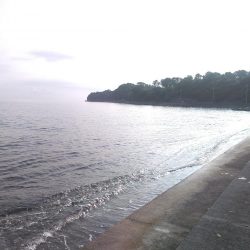 カマスラッシュ!