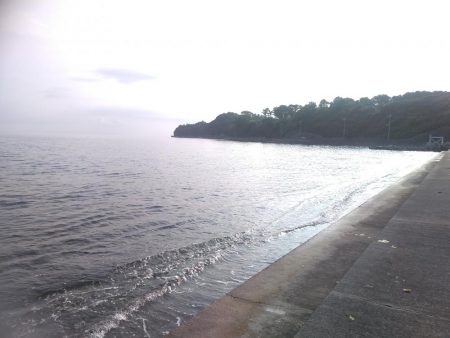 カマスラッシュ!