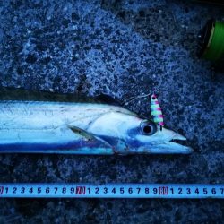 台風明けの強風でもなんとかね